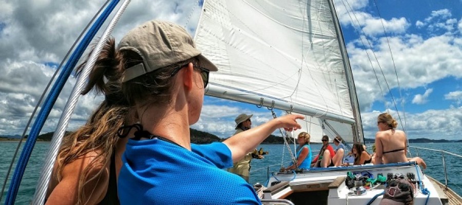 Sailing Options in New Zealand
