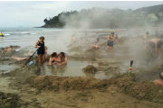 self dug thermal spas at hot water beach
