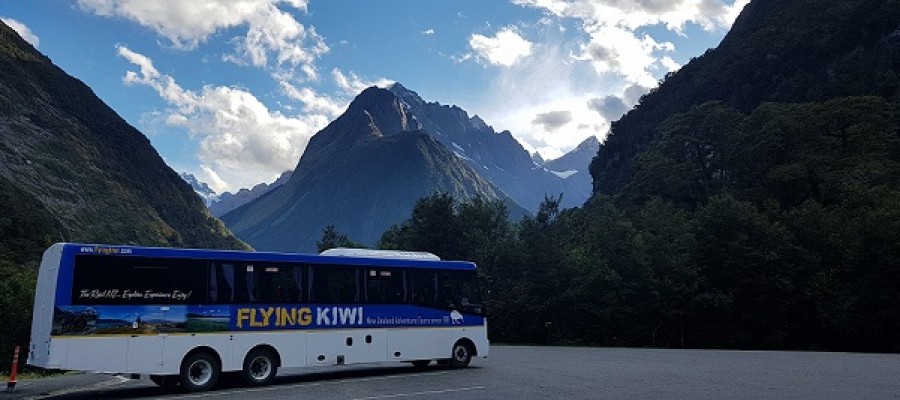 Flying Kiwi Bus