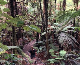 Waitomo Village Walkway