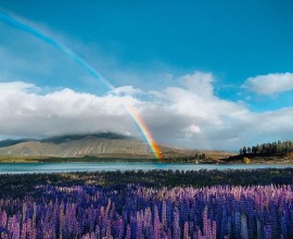 Tekapo