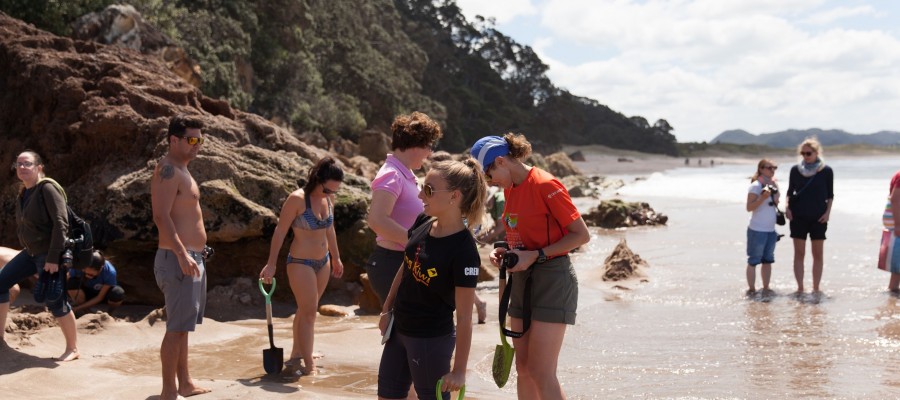 Hotwater beach Coromandel
