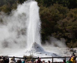 Mud Pools & The Lady Knox Geyser