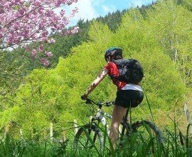 Nelson bike ride
