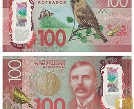 $100 New Zealand Note