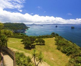 Coromandel