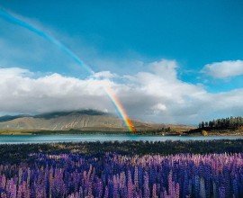 Tekapo