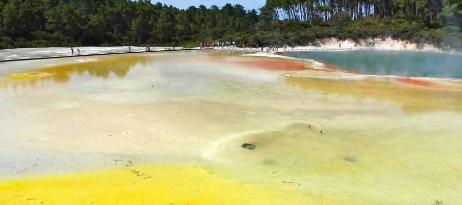 Visit Wai-O-Tapu in Rotorua 