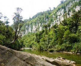 Pororari River Track