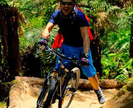 Wellington mountain biking trails