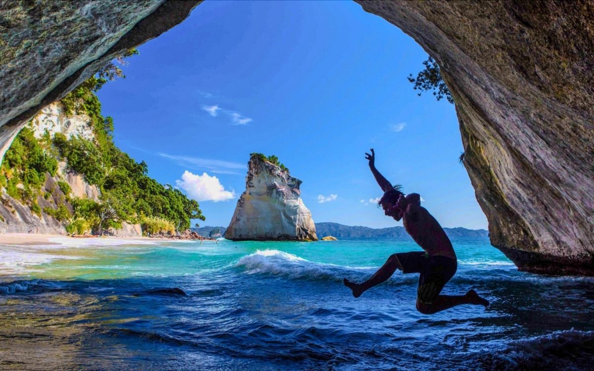 North Island Tour