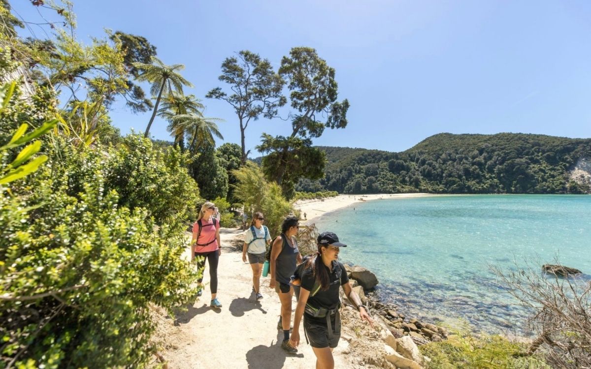 South Island Tour