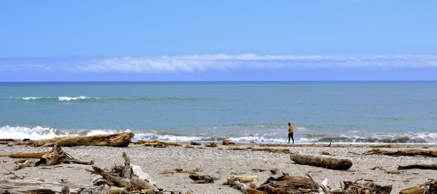 New Zealand's coastline