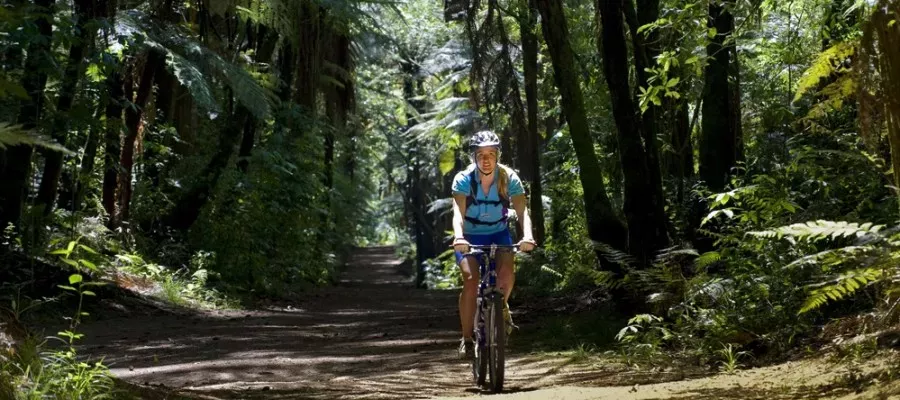 Cycle New Zealand with Flying Kiwi tours