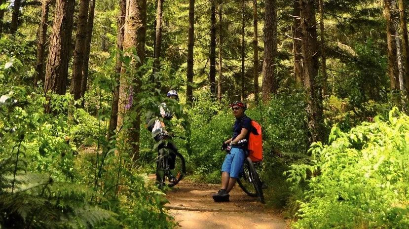Rotorua Mountain Bike Park