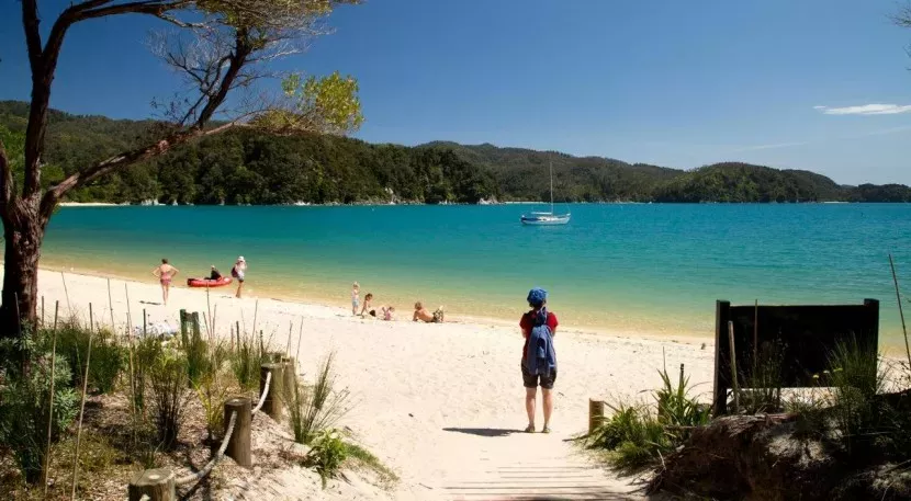 Visit Abel Tasman with Flying Kiwi